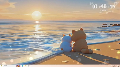 一对情侣猫猫 海边赏日落