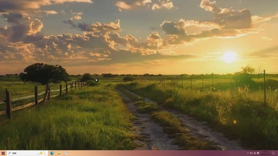 夕阳树木景色主题