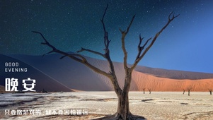 星河滚烫