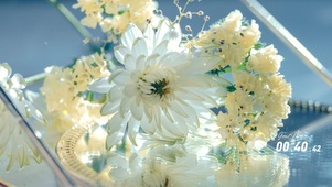 唯美透亮花束