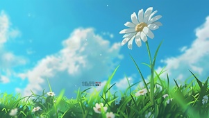 阳光白云小雏菊