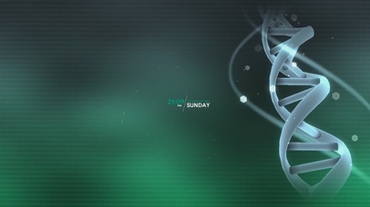 简约酷炫护眼办公windows