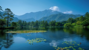 绿树青山好风景