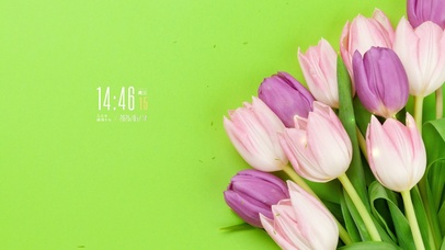 简约清新郁金香壁纸