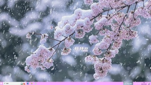 雪中樱花主题