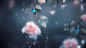 雨中玫瑰