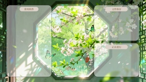 蝶舞花间，梨花漫窗~分区桌面