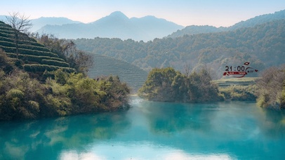 4K唯美治愈清晨树林湖畔