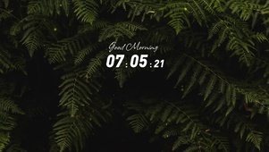4k高清ins风绿色植物系列