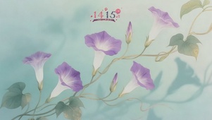 清新牵牛花