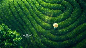 唯美清新茶园
