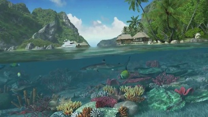 唯美海边水底游鱼