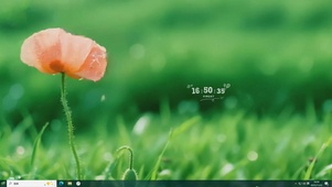 清新护眼雨中花