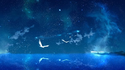 飞鸟与星空