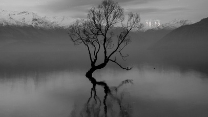 枯藤老树（真实时间）