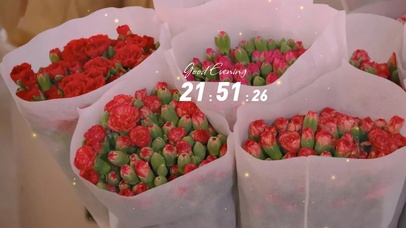 4k高清ins风格系列