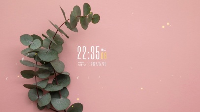 纯色极简绿植桌面