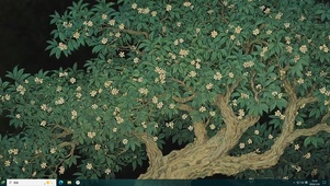 参天大树桌面主题