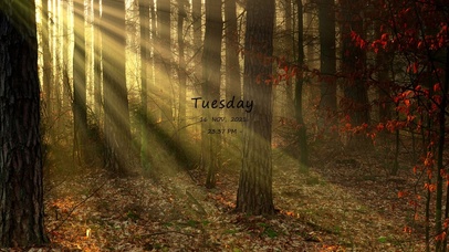 森林阳光（带真实时间）