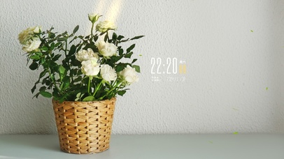 4k高级小清新氛围感桌面