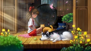 治愈夏天