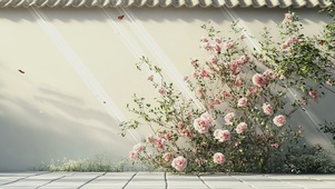 清新花卉壁纸
