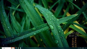 露珠
