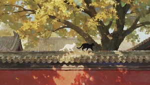 红色墙上的猫