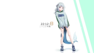 小鲨鱼