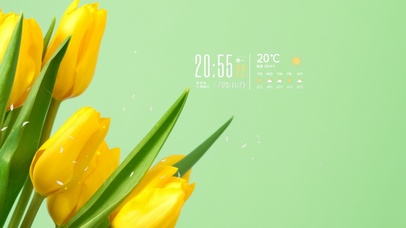 4k清新郁金香桌面