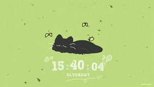 慵懒小猫