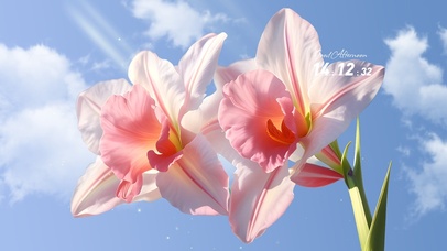 4K清新夏日鲜花