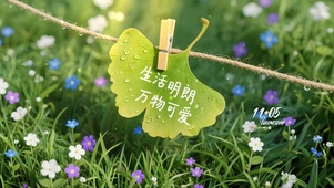 生活明朗，万物可爱