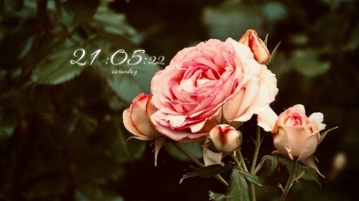 4k高清简约冷美系列