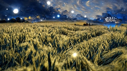 星空麦田