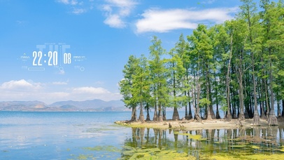 4k夏天森林湖水