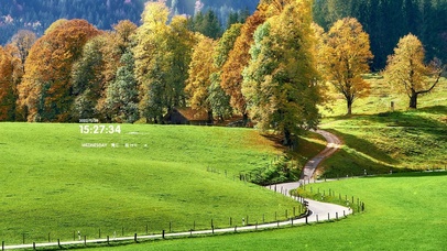 4k 森林公路小路