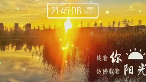 夏日的颜色