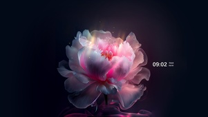 花语 浪漫治愈