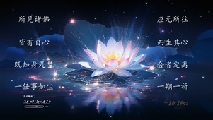 4K 幽蓝之莲