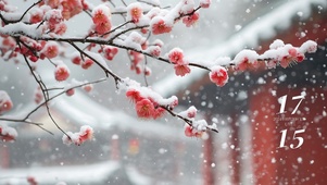 红墙影雪