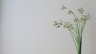 4k清新古风系列