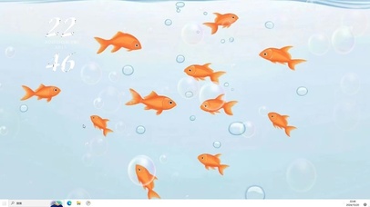 好运锦鲤  主题