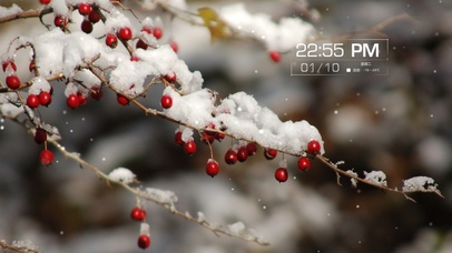 4k唯美雪中风景