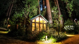 4k 唯美治愈夜晚绿林小屋