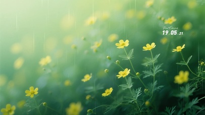 雨中小花