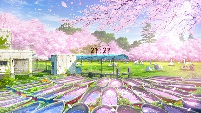 樱花树下的回忆