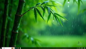 雨中竹林