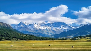 雪山草原美景