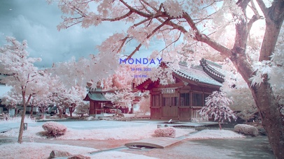 唯美治愈树下小屋